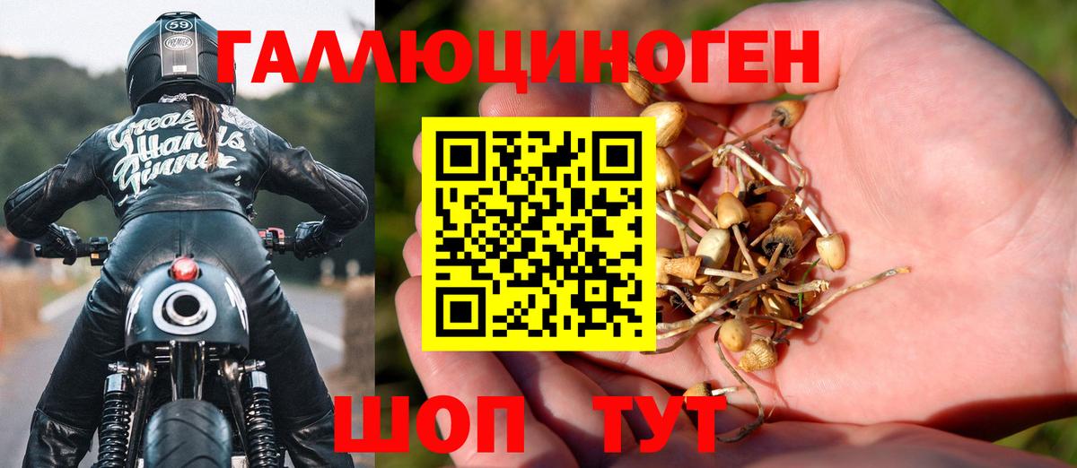 Псилоцибиновые грибы прущие грибы  Вход с VPN  Гурьевск 